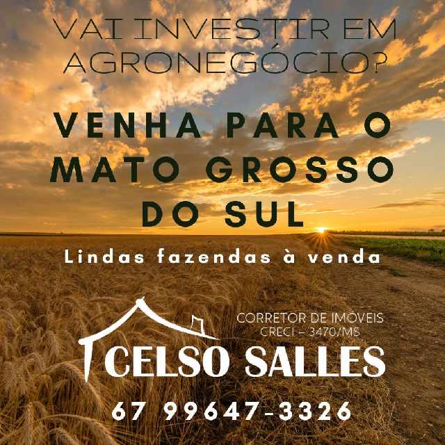 Foto 1 - Quer comprar ou vender ligue